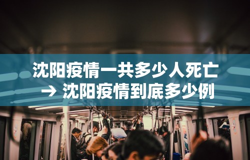 沈阳市最新疫情情况,沈阳市疫情最新动态
