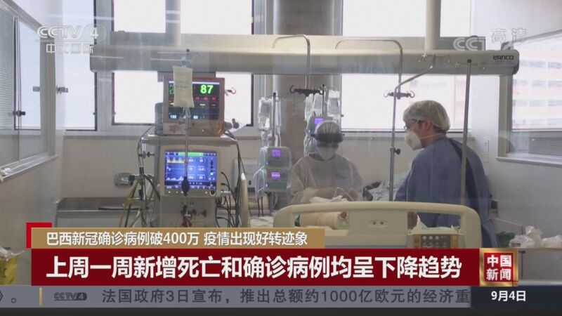 “武汉确诊” 武汉确诊登革热？-第3张图片
