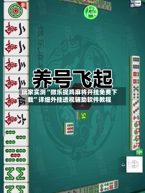 分享实测攻略“微乐双扣怎么开挂”确实真的有挂-第3张图片