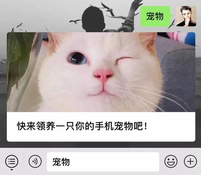 我来教教大家“上品十三水有挂吗”附开挂脚本详细步-第3张图片