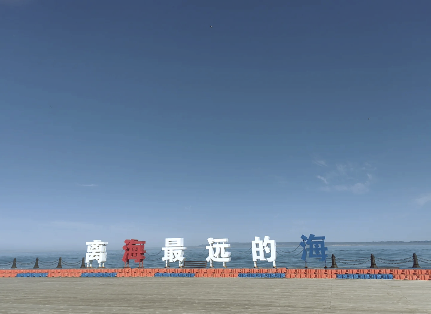 专业讨论“广西八一字牌开挂视频”(其实真的能开挂)-第3张图片