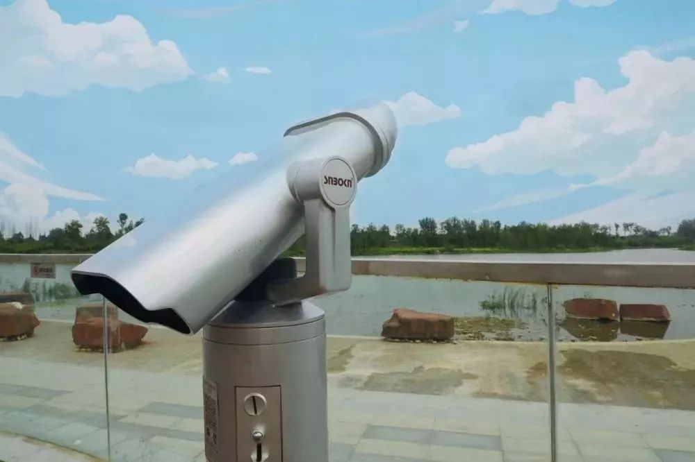 分享科普“微乐宁夏开挂器通用版”(确实能开挂)-第2张图片