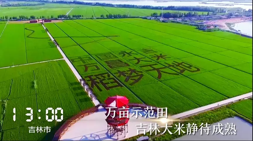 吉林感染高峰进度,吉林最新确诊-第1张图片