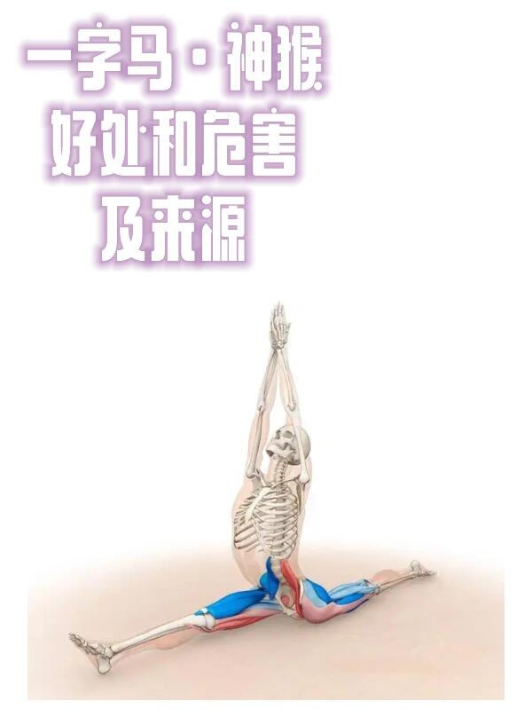 揭秘科普“超凡大厅辅助”分享装挂步骤-第3张图片