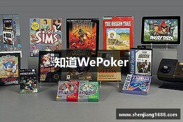 介绍一款“wepoker微扑克辅助器”(其实有挂)-第3张图片