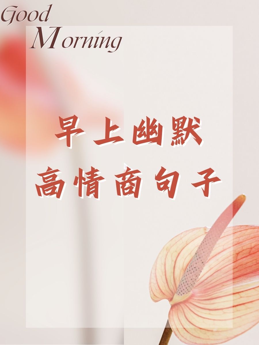 教程分享“一手好牌高情商句子	”确实是有挂-第2张图片
