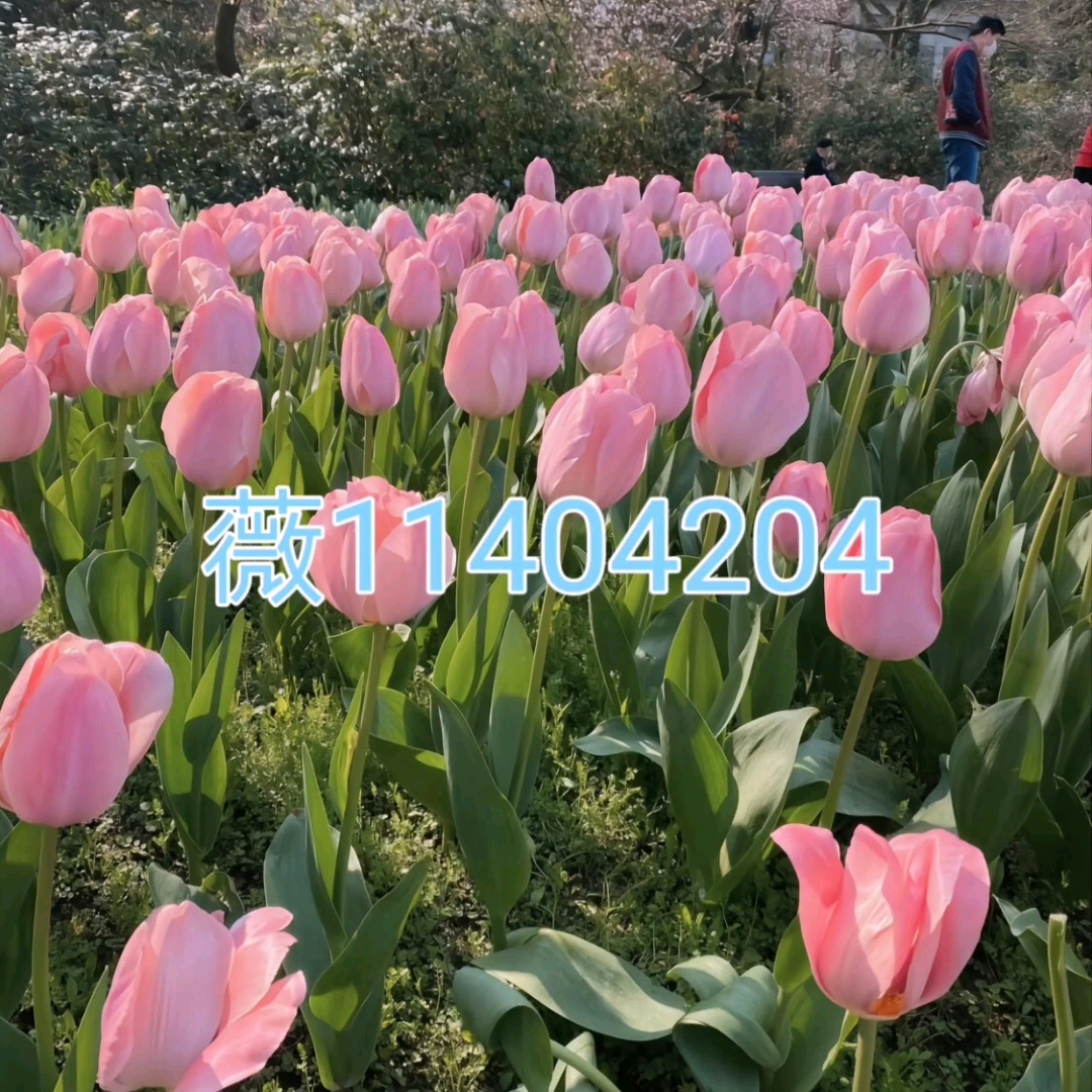 玩家必备“机麻作弊怎么检查出来	”(必胜开挂神-第2张图片