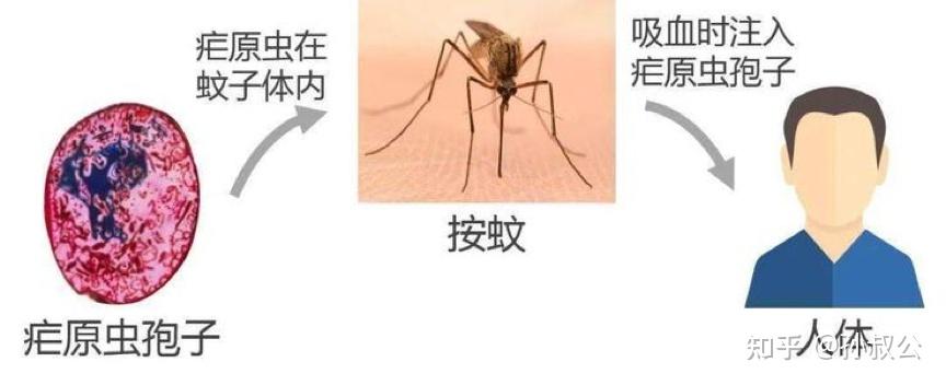 必看科普“wpk软件辅助挂	”确实果然有挂-第3张图片