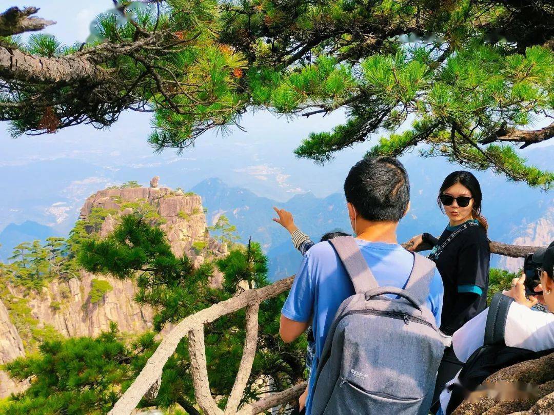玩家综述“黄山麻将开挂神器免费下载”其实真的确实有挂-第2张图片