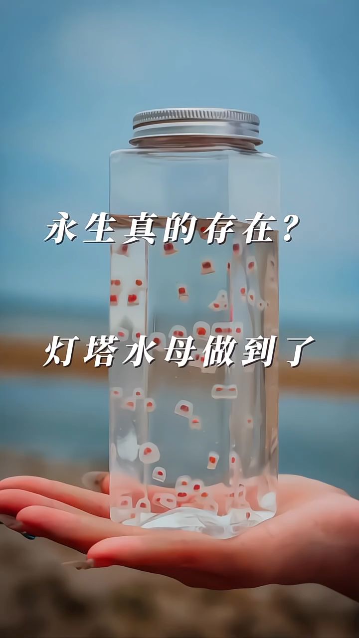 分享科普“聚友麻坛有挂吗”分享真的有挂给你-第1张图片