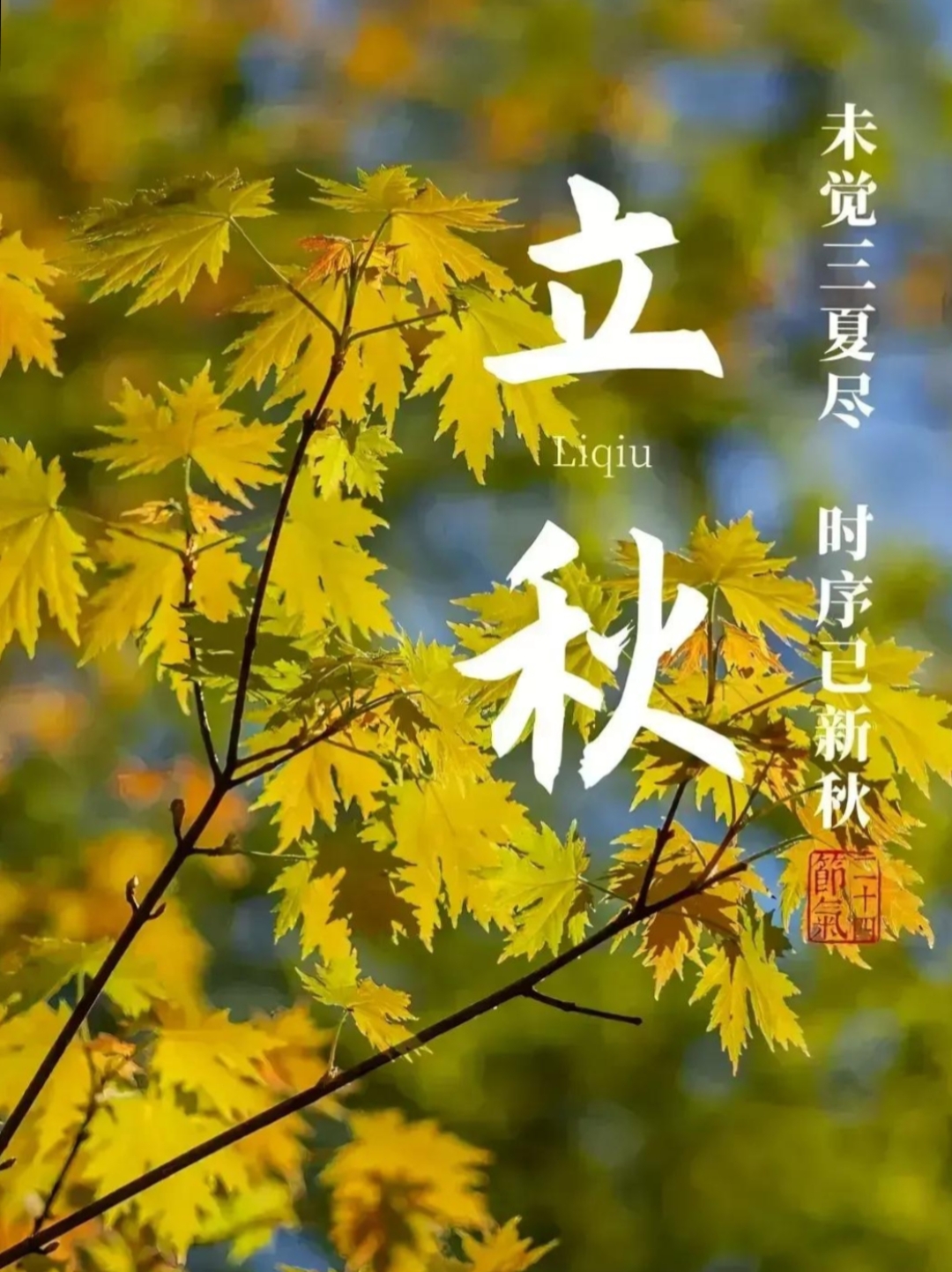 科普一下“闲来陕西三代有挂吗”附开挂脚本详细步骤-第3张图片