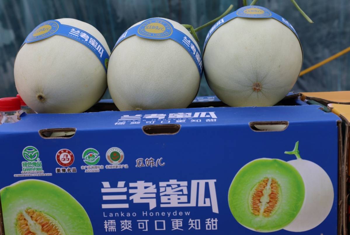 必备科技“新蜜瓜大厅怎么开挂	”(其实有挂)-第2张图片