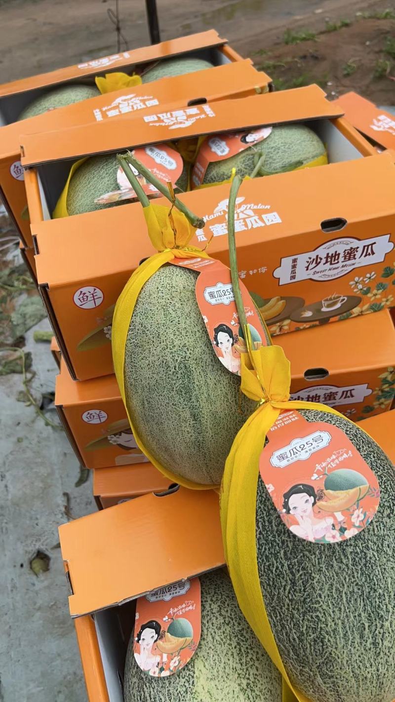必备科技“新蜜瓜大厅怎么开挂”(其实有挂)-第3张图片