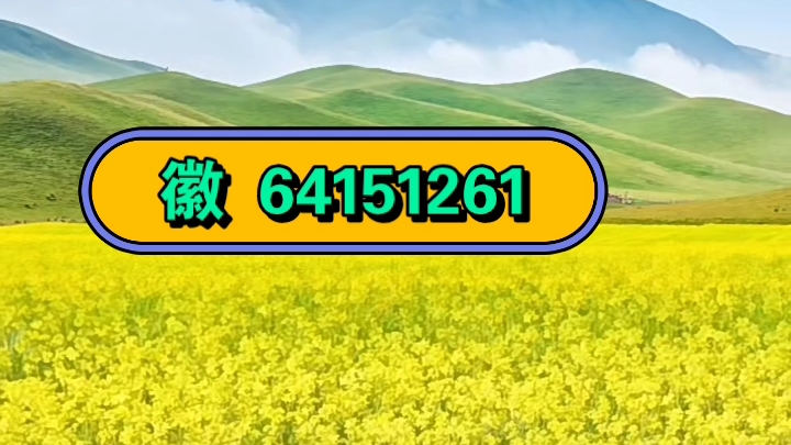分享实测攻略“wepoker能开挂透视吗	”的确是有挂-第2张图片