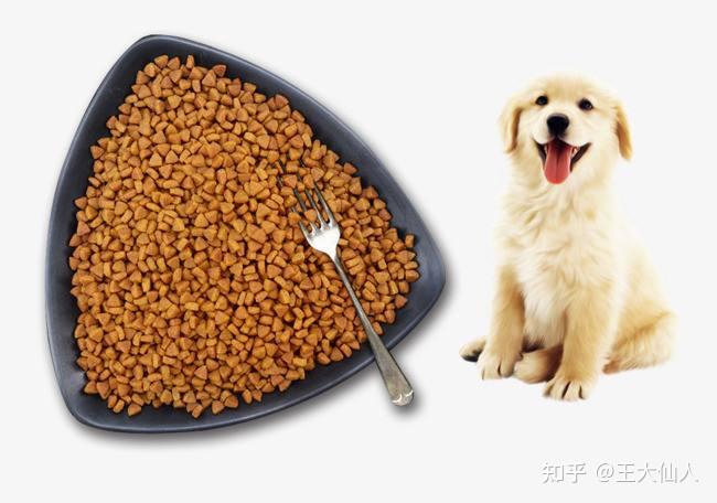分享实测攻略“牌乐门辅助器(免费版)”分享装挂技巧步骤-第3张图片