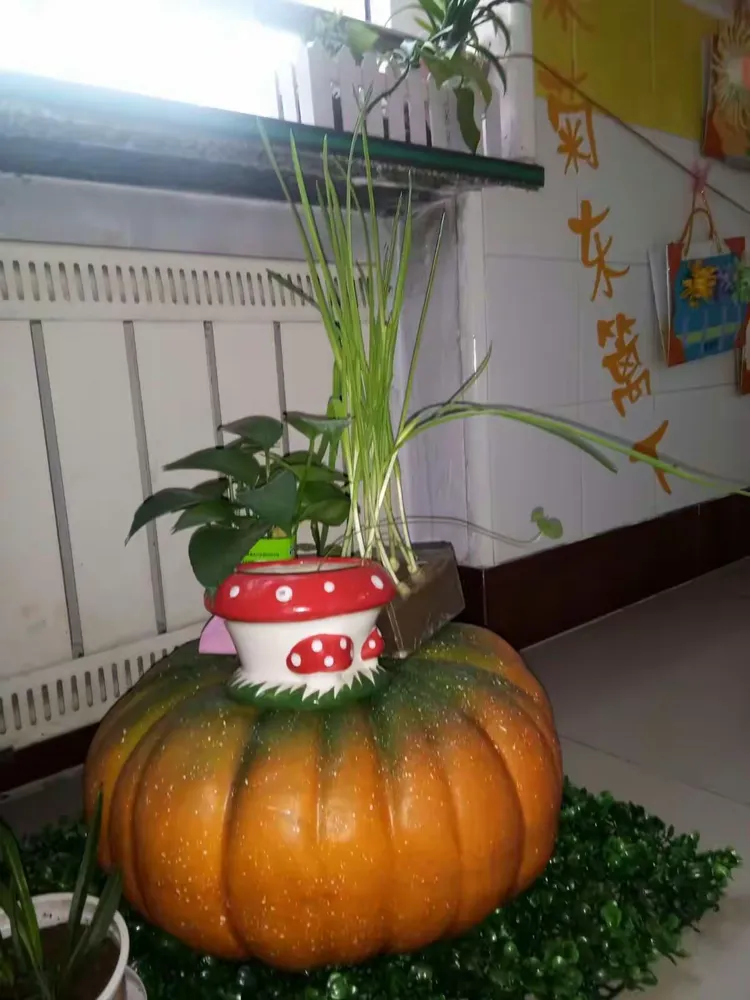 传递经验“蝴蝶大厅有挂吗	”确实果然有挂-第1张图片