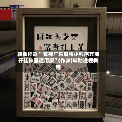 玩家综述“微乐麻将小程序万能开挂器”(原来真的有挂)-第2张图片