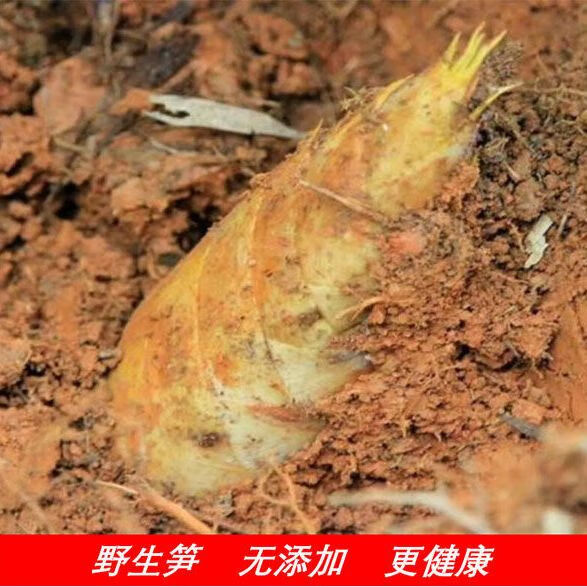 分享干货“闲逸开挂最明显三个特征	”分享装挂详-第2张图片