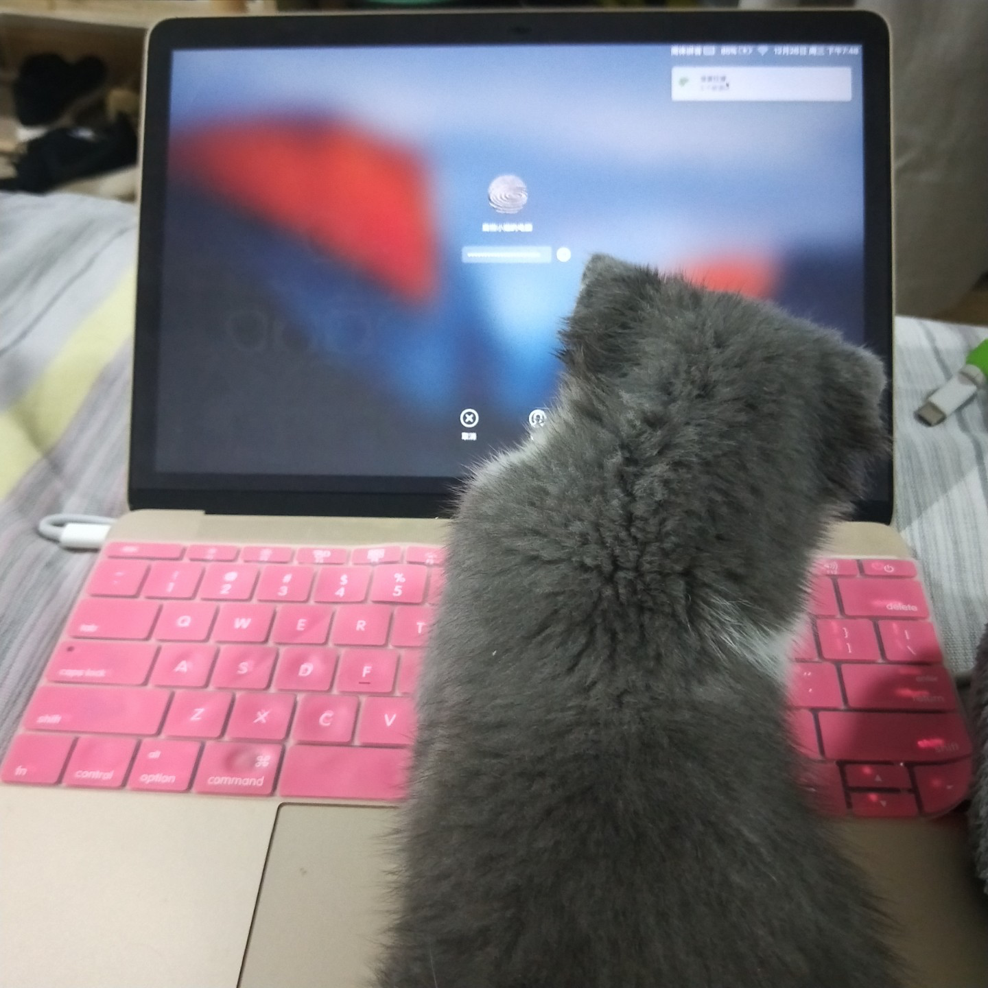 分享实测攻略“hacker猫德州辅助插件”实际有挂-第3张图片