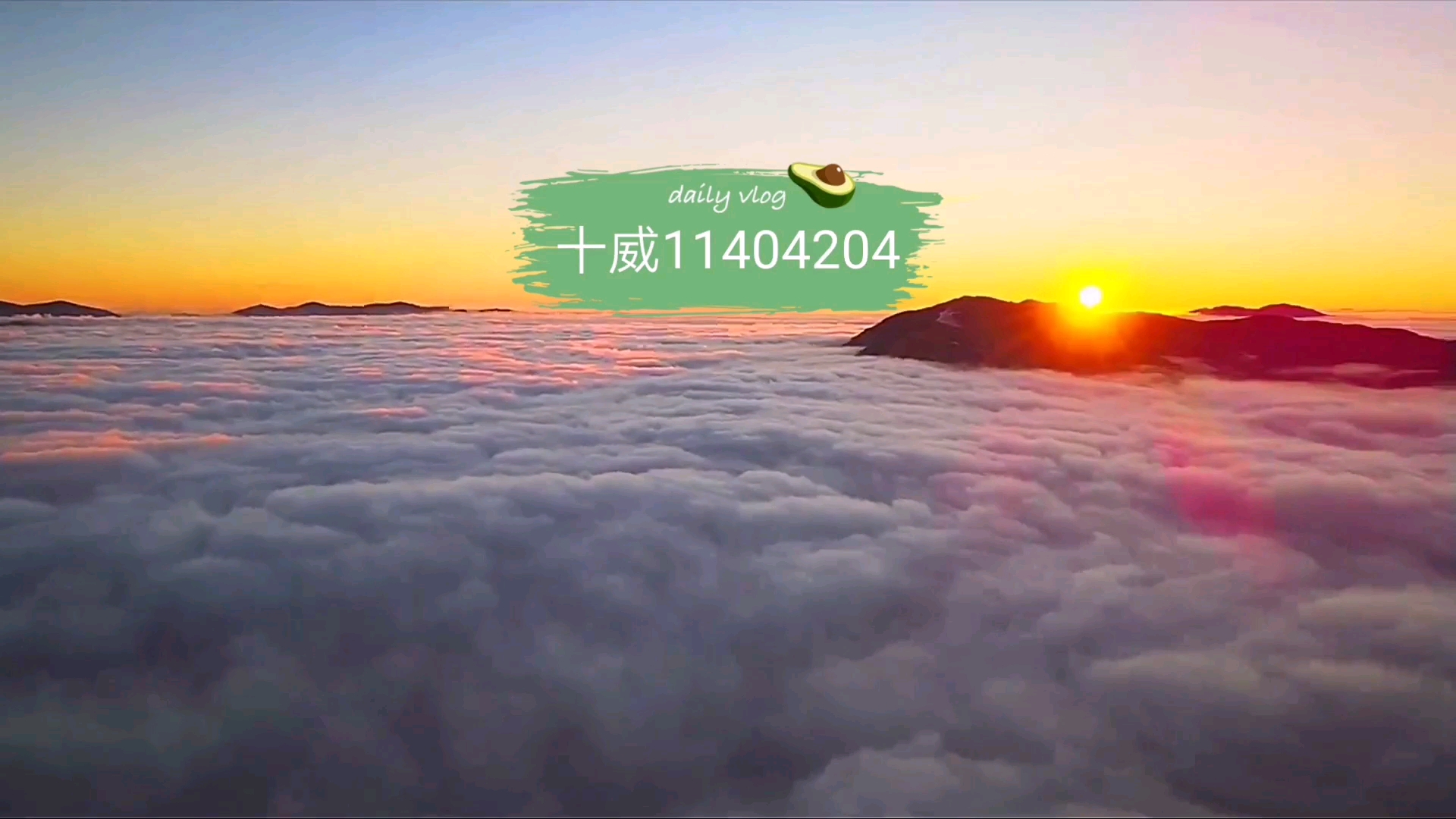 推荐必备“网上麻将有没有挂”(原来真的有挂)-第1张图片