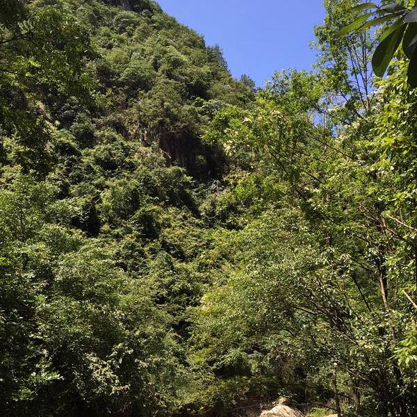 分享热点“浙北十三道有挂吗”详细分享开挂步骤-第2张图片