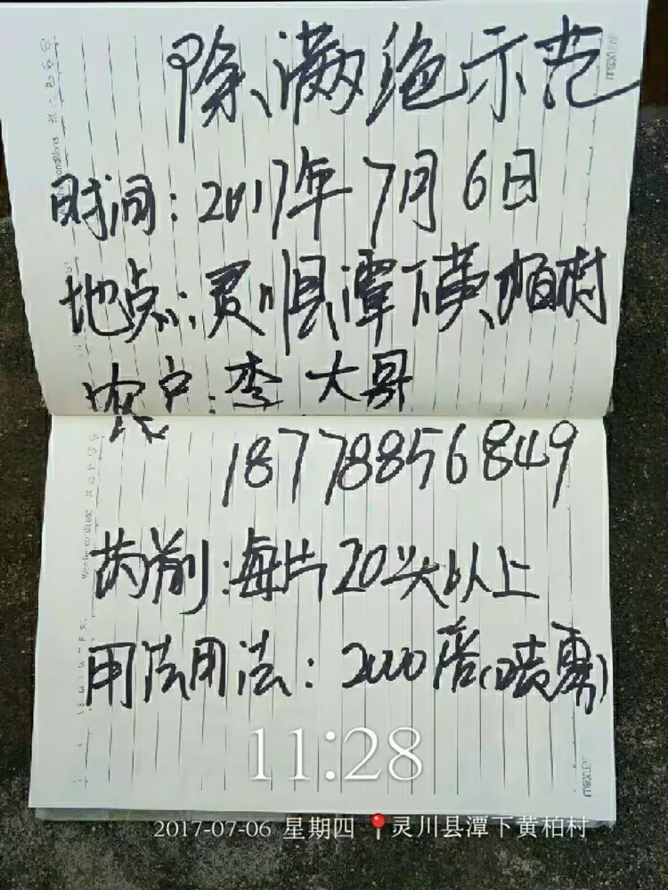 传递经验“免费福星桂林字牌开挂”(确实有挂)-第2张图片